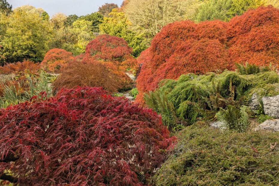 The Rock Garden, Sizergh Castle